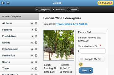 A screen shot of ReadySetAuction's online catalog, showing an auction package for wine tasting in Sonoma.