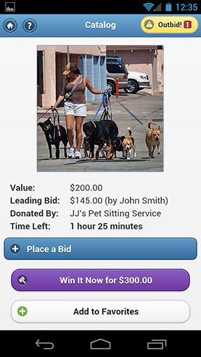 A screen shot of a ReadySetAuction Live item page.